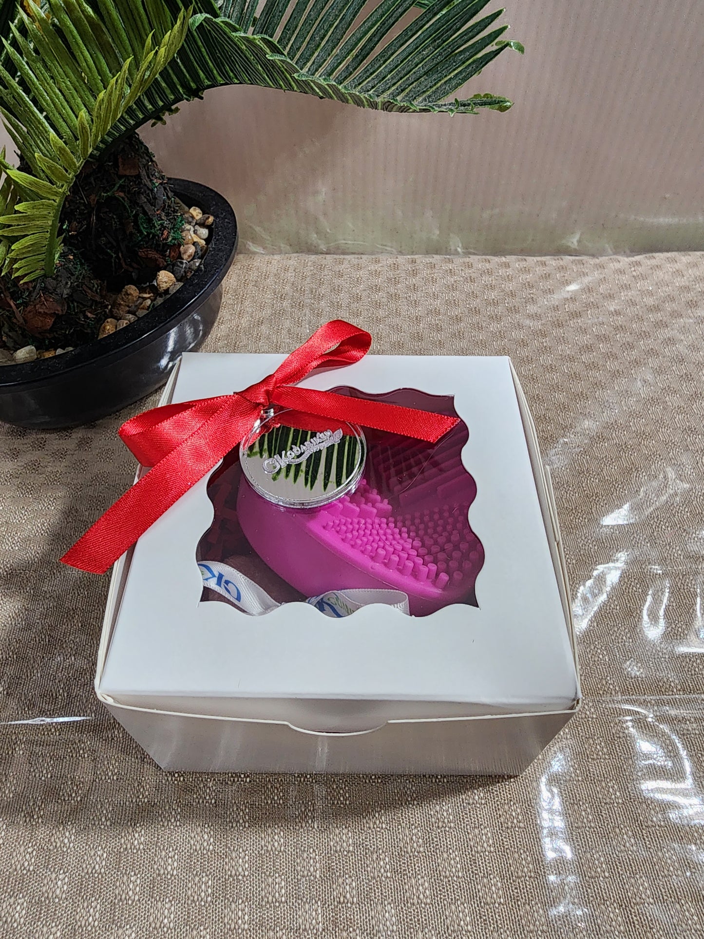 Brush Cleaner Bundle( Temporada)