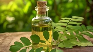 Moringa Oil
