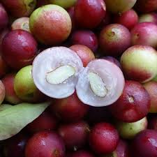 Fragancia Camu Camu type (BS)