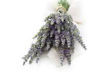 Fragancia Lavanda Vainilla (BS)