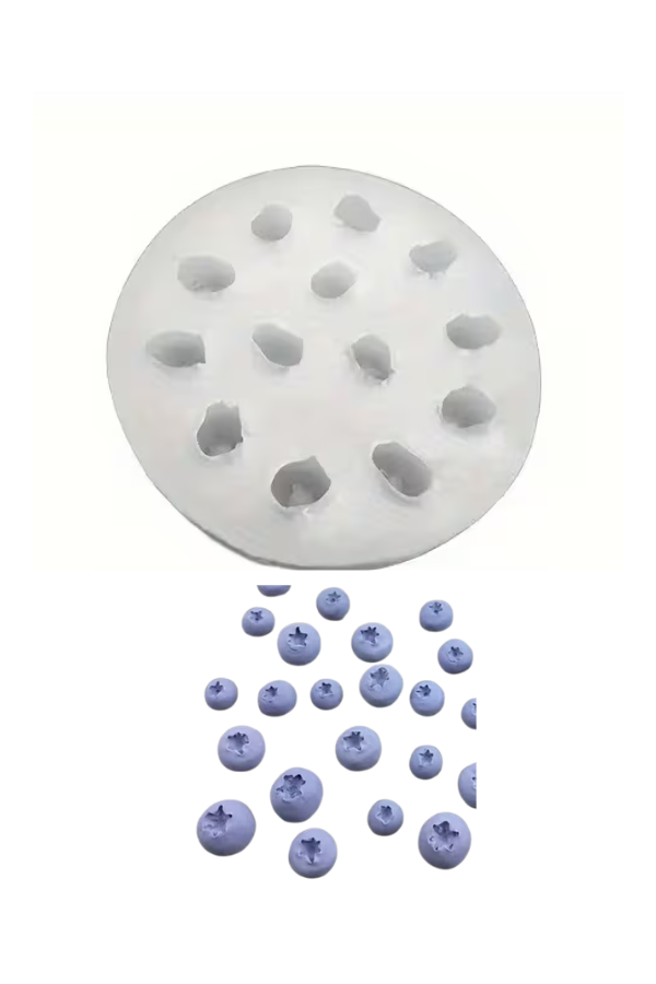 Molde blueberries (13)