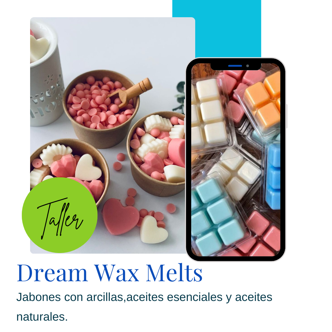Taller Dream Wax Melts Privado