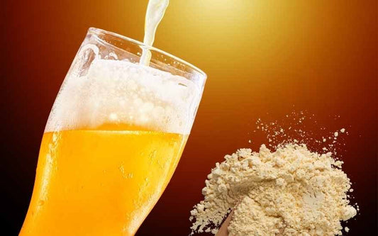 Polvo de Cerveza ( Beer Powder )