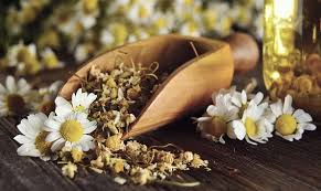 Chamomile Flower