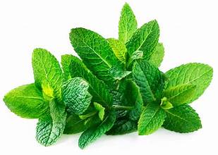 Fragancias Spearmint (BS)