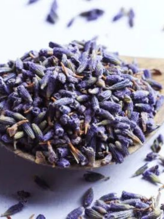 Flores de Lavanda